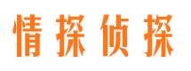 连云市调查公司